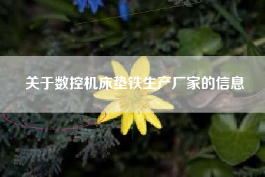 關于數(shù)控機床墊鐵生產廠家的信息